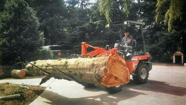 Eastside Timber & Property Development - Log Loading